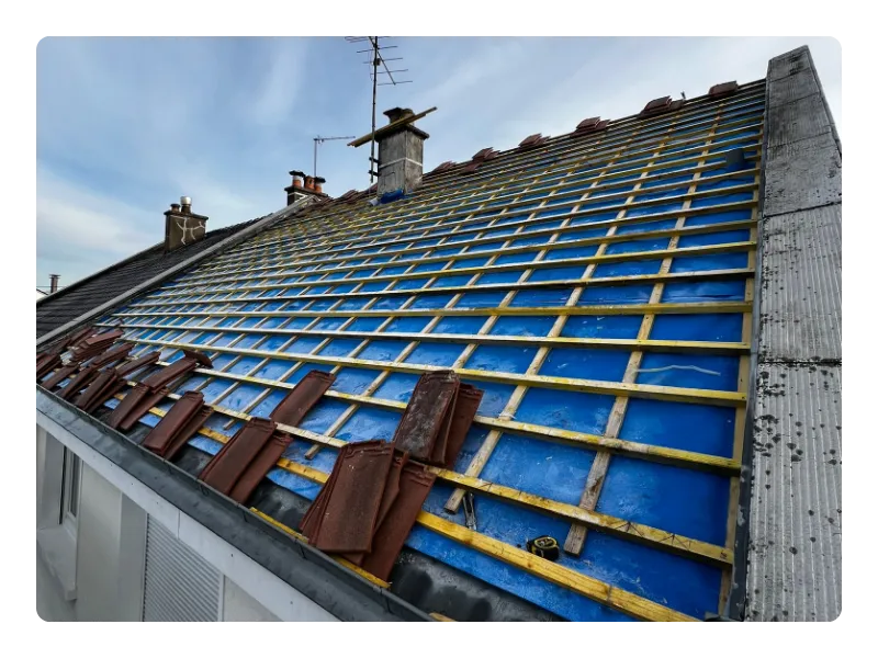 demoussage toiture ecommoy
